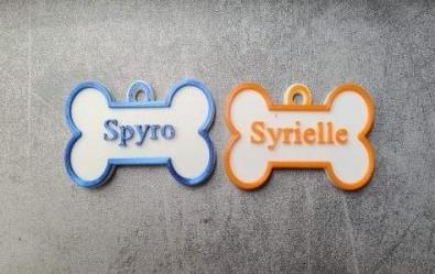 Porte-clés personnalisés à accrocher au collier de votre chien.