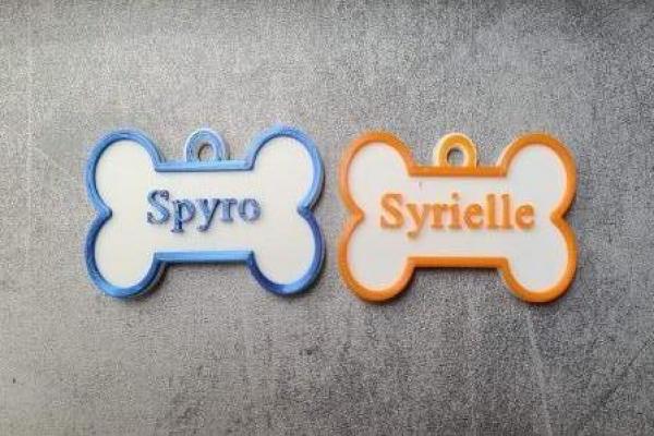 Porte-clés personnalisés à accrocher au collier de votre chien.