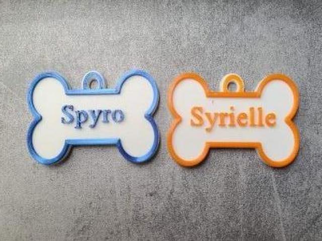 Porte-clés personnalisés à accrocher au collier de votre chien.